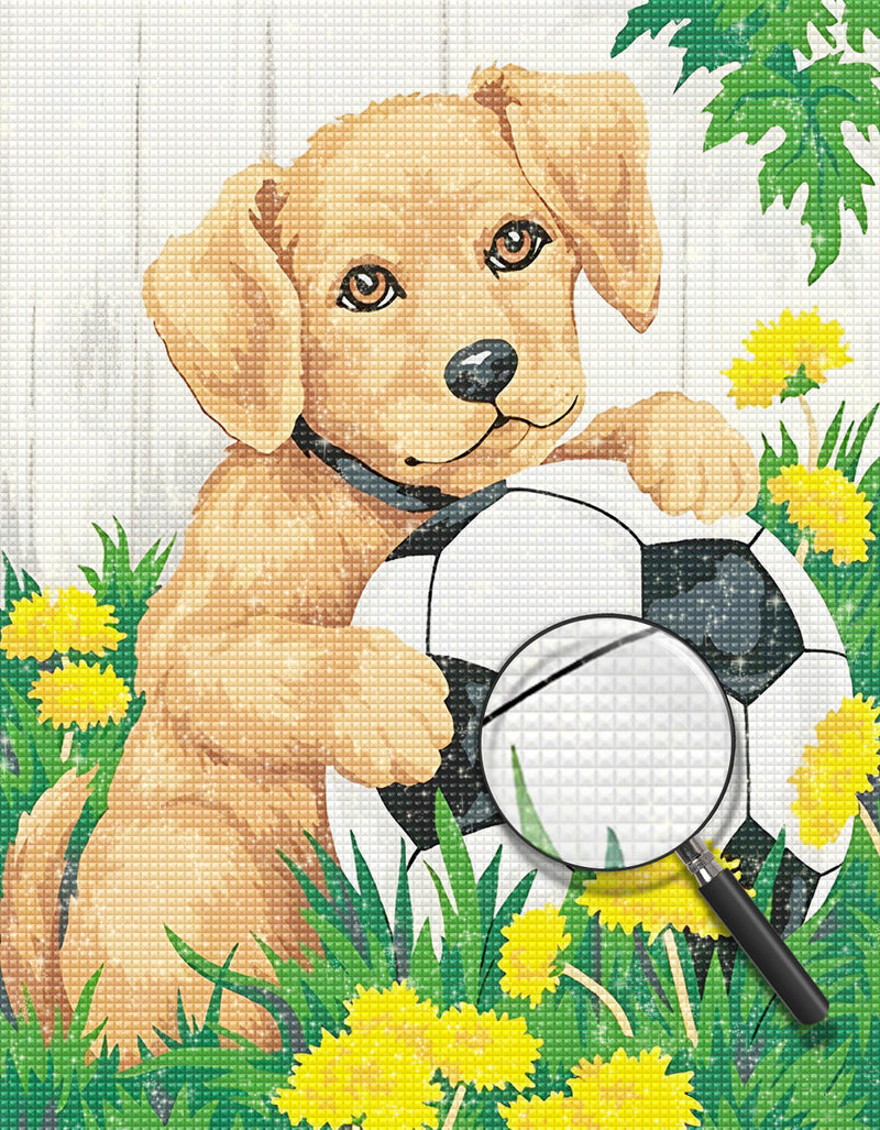 Golden Retriever Dog and Football Diamond Painting