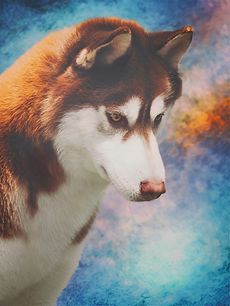 Red & White Husky Dog Diamond Painting