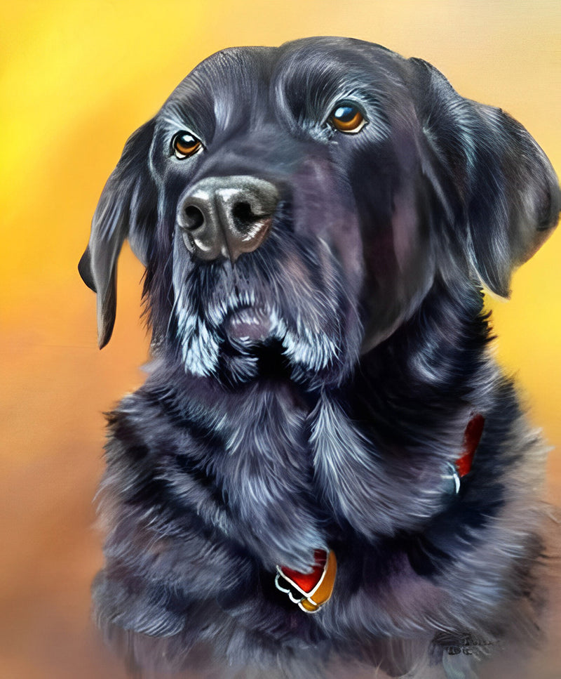 Black Long-Haired Dog Diamond Painting