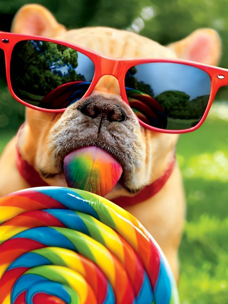 French Bulldog Eating a Lollipop with Sunglasses Diamond Painting