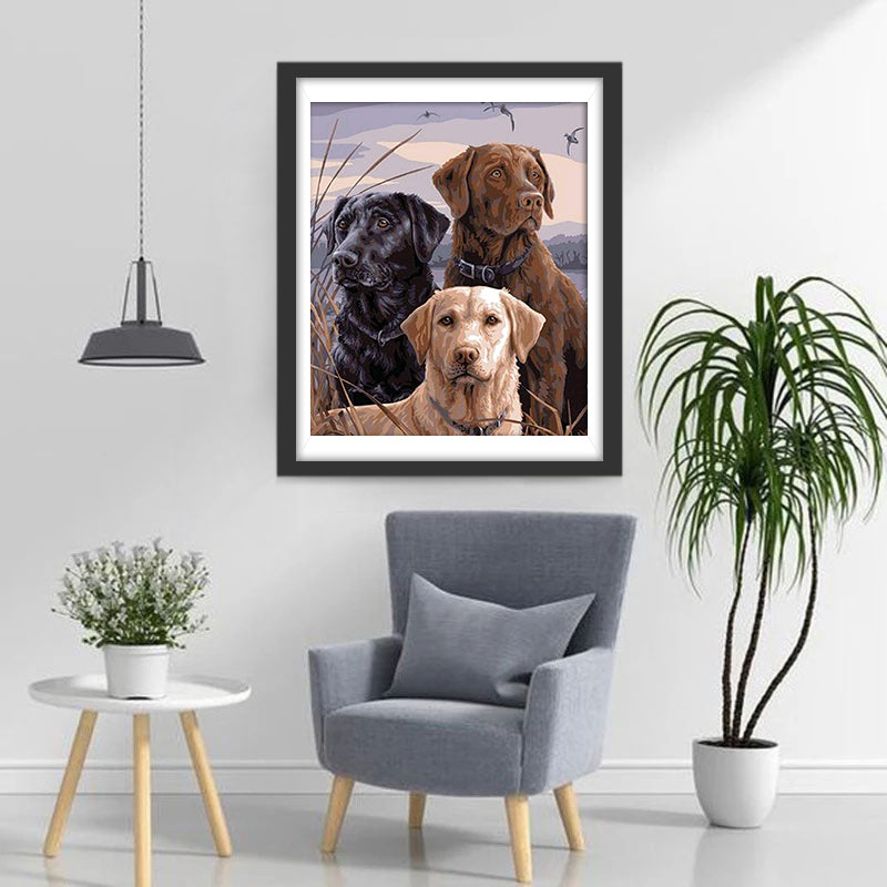 Three different colored Labradors Diamond Painting