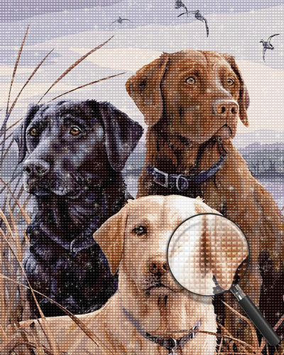 Three different colored Labradors 5D DIY Diamond Painting Kits