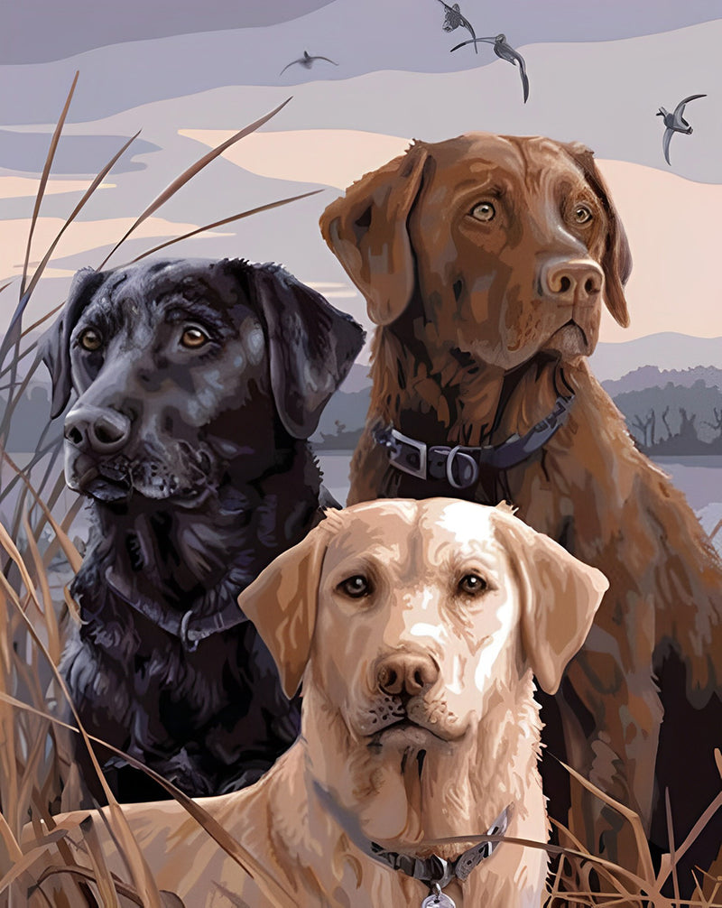Three different colored Labradors 5D DIY Diamond Painting Kits
