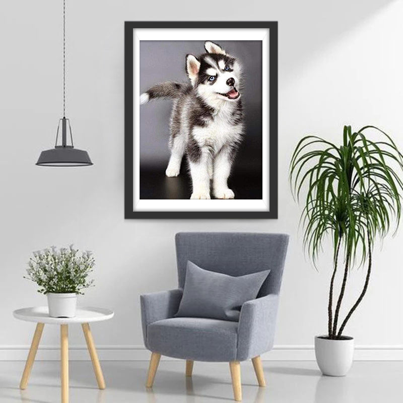 Husky Puppy with his Head Tilted Diamond Painting