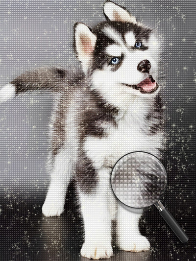 Husky Puppy with his Head Tilted Diamond Painting