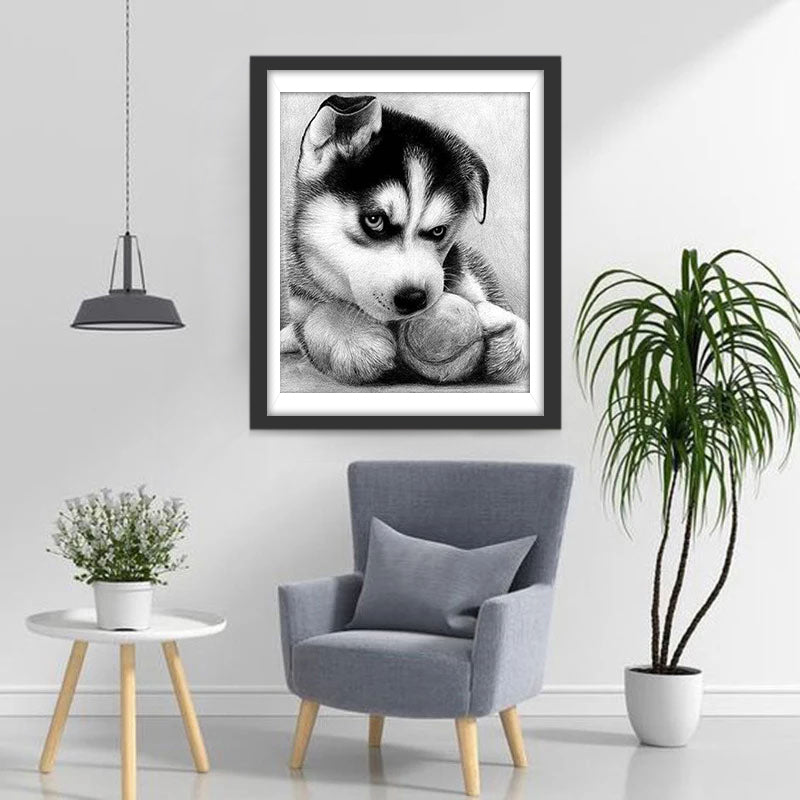 Dog Playing White and Black Ball Diamond Painting