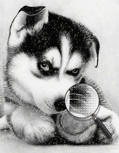 Dog Playing White and Black Ball Diamond Painting