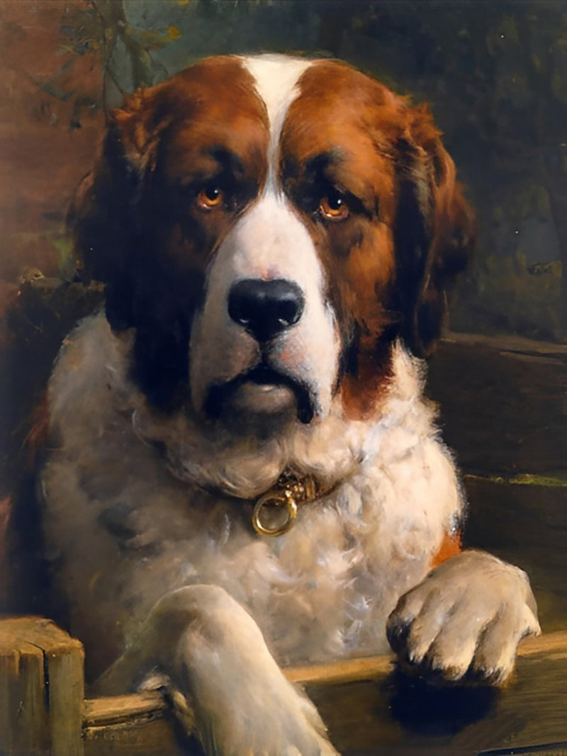 Large Brown & White Serious Dog Diamond Painting