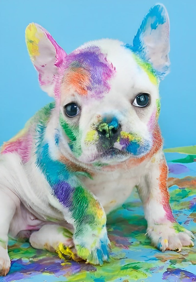 Bulldog Dog with Color Spots Diamond Painting