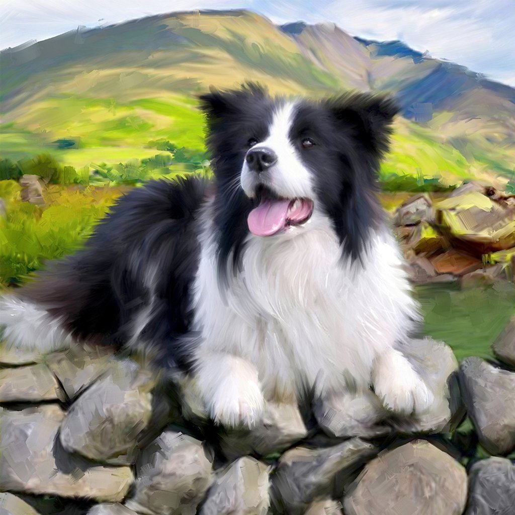 Border Collie Dog and Mountain Diamond Painting