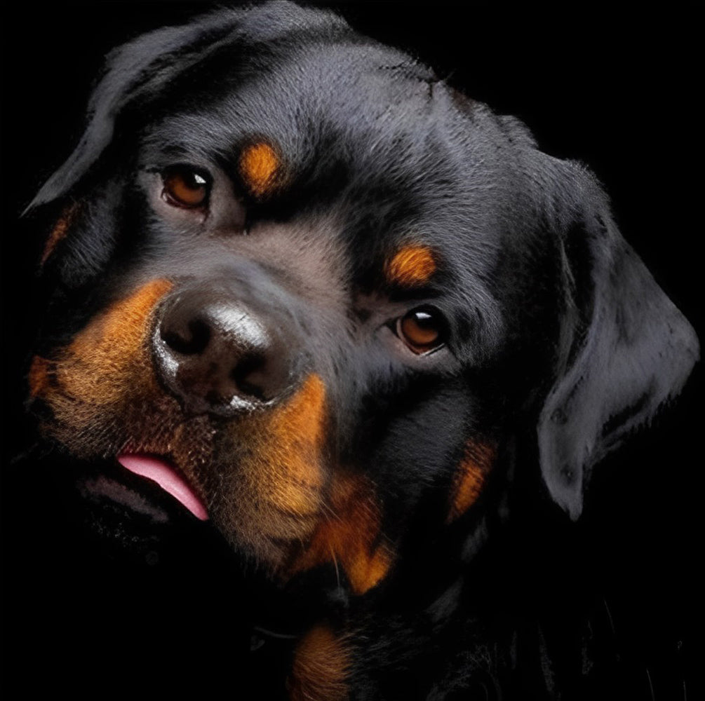 Cute Rottweiller Puppy Diamond Painting
