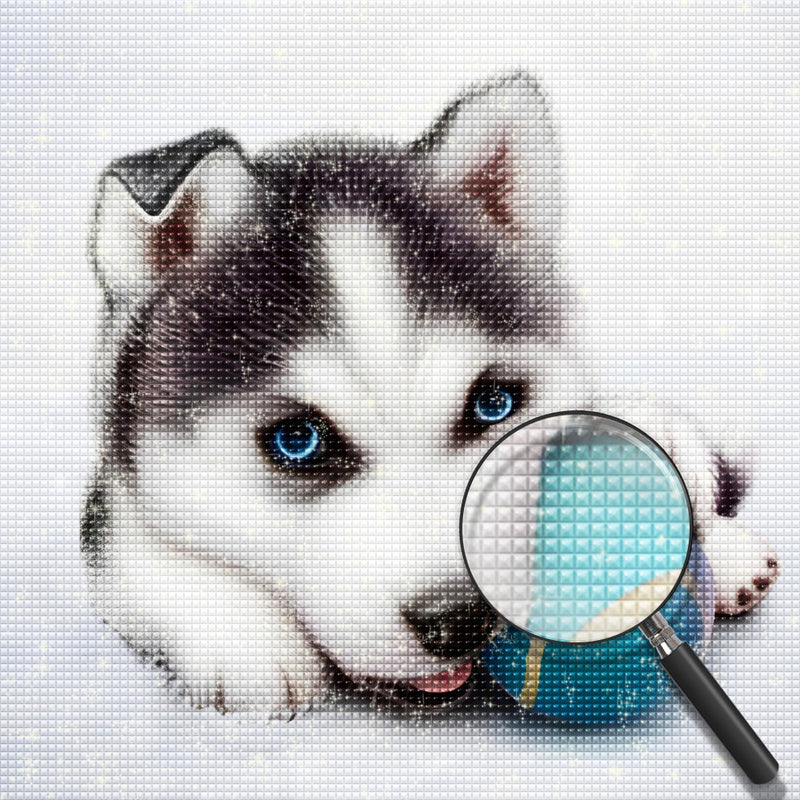 Husky Puppy Playing Tennis 5D DIY Diamond Painting Kits