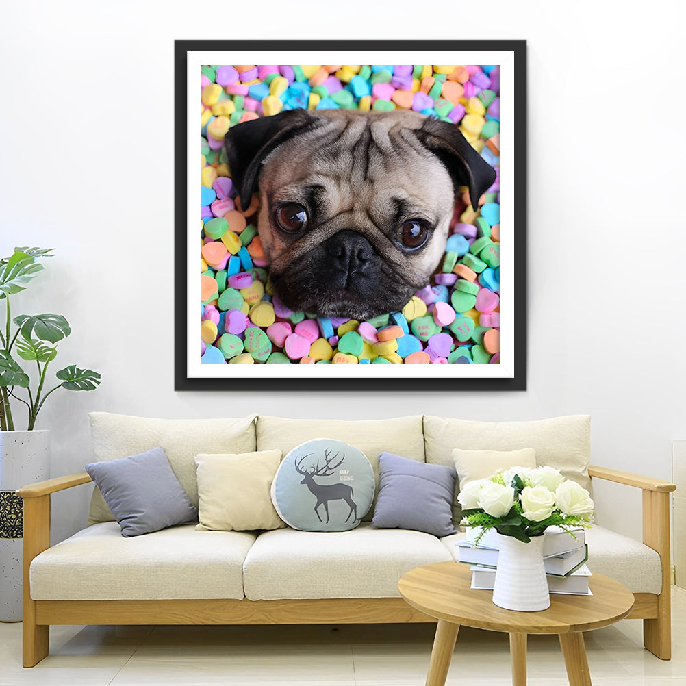 Pug Dog Diamond Painting