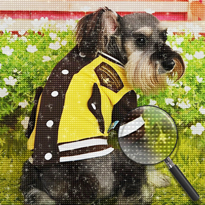 Yorkshire Terrier Dog in Baseball Outfit 5D DIY Diamond Painting Kits