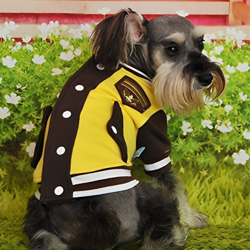 Yorkshire Terrier Dog in Baseball Outfit Diamond Painting