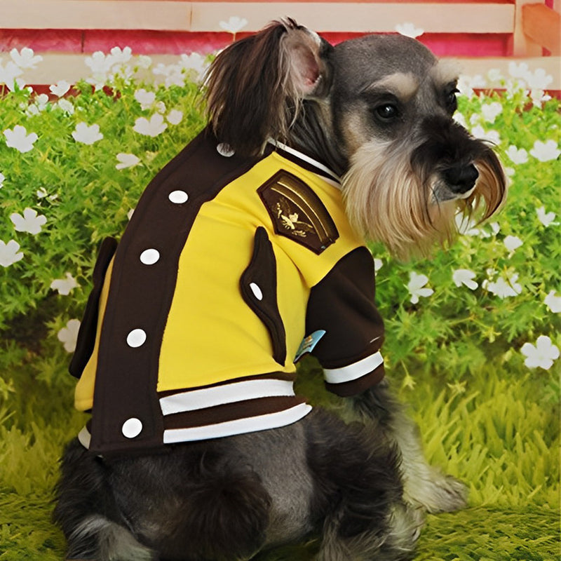 Yorkshire Terrier Dog in Baseball Outfit 5D DIY Diamond Painting Kits