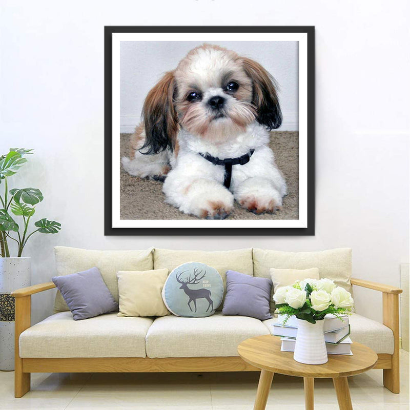 Cute Shih Tzu Dog Diamond Painting