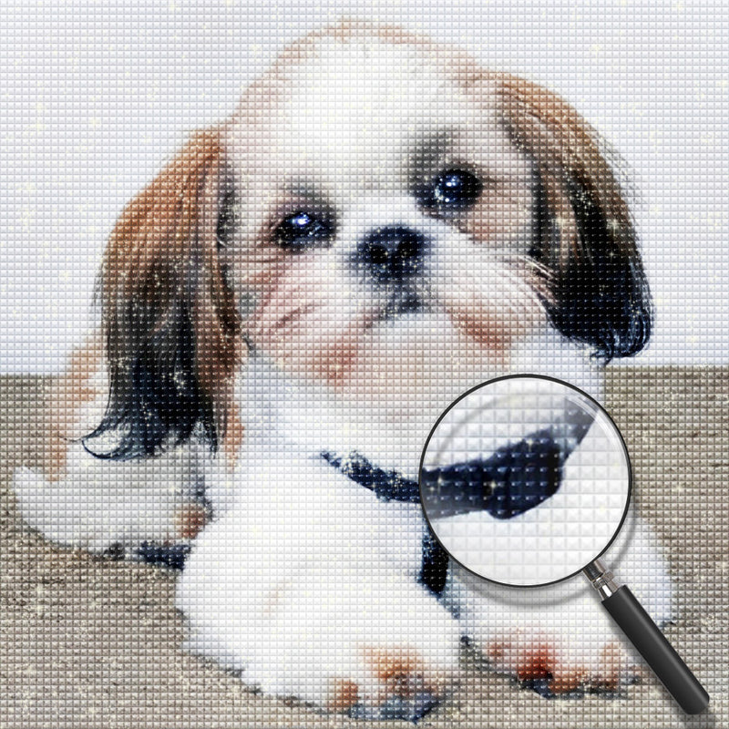 Cute Shih Tzu Dog Diamond Painting