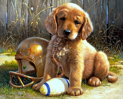 Golden Retriever Dog Playing Rugby 5D DIY Diamond Painting Kits