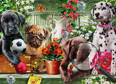 Puppies and football Diamond Painting