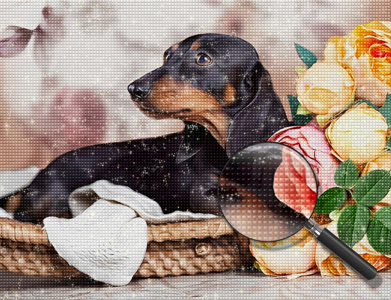 Dachshund Dog and Roses 5D DIY Diamond Painting Kits