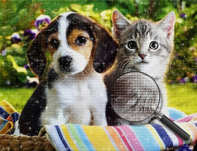 Cute Beagle Puppy and Kitten 5D DIY Diamond Painting Kits