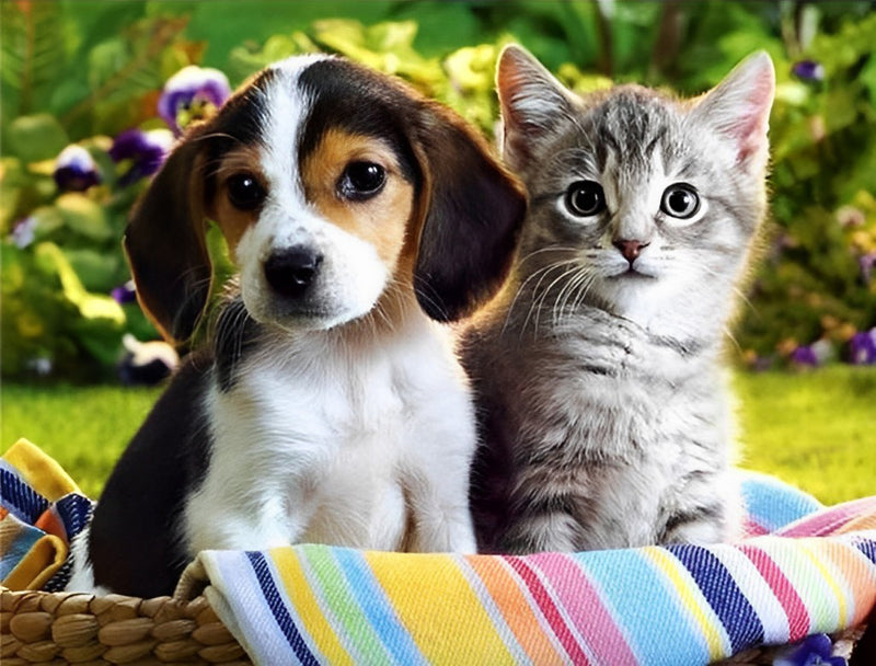 Cute Beagle Puppy and Kitten 5D DIY Diamond Painting Kits