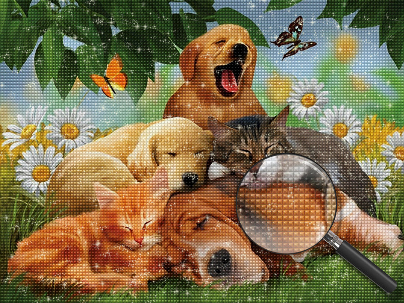 Dogs and Cats with Flowers 5D DIY Diamond Painting Kits