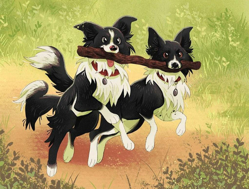 Two Border Collies running with sticks 5D DIY Diamond Painting Kits