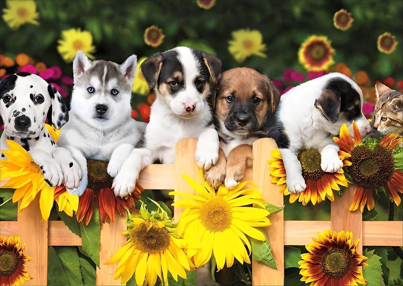 Puppies at the Garden Fence Diamond Painting