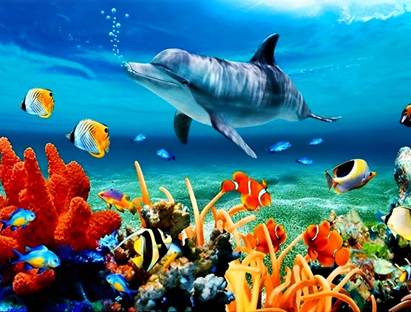 Dolphin Spitting Bubbles Diamond Painting