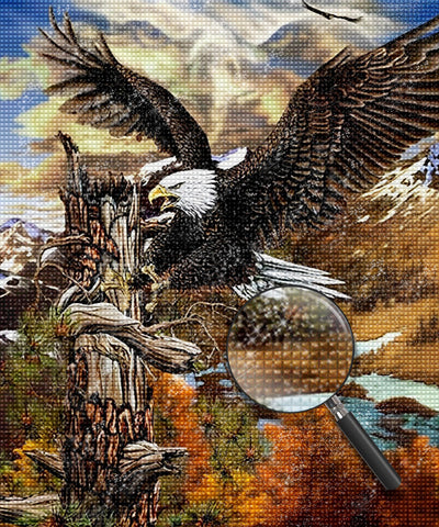 Bald Eagle Soaring in the Air 5D DIY Diamond Painting Kits