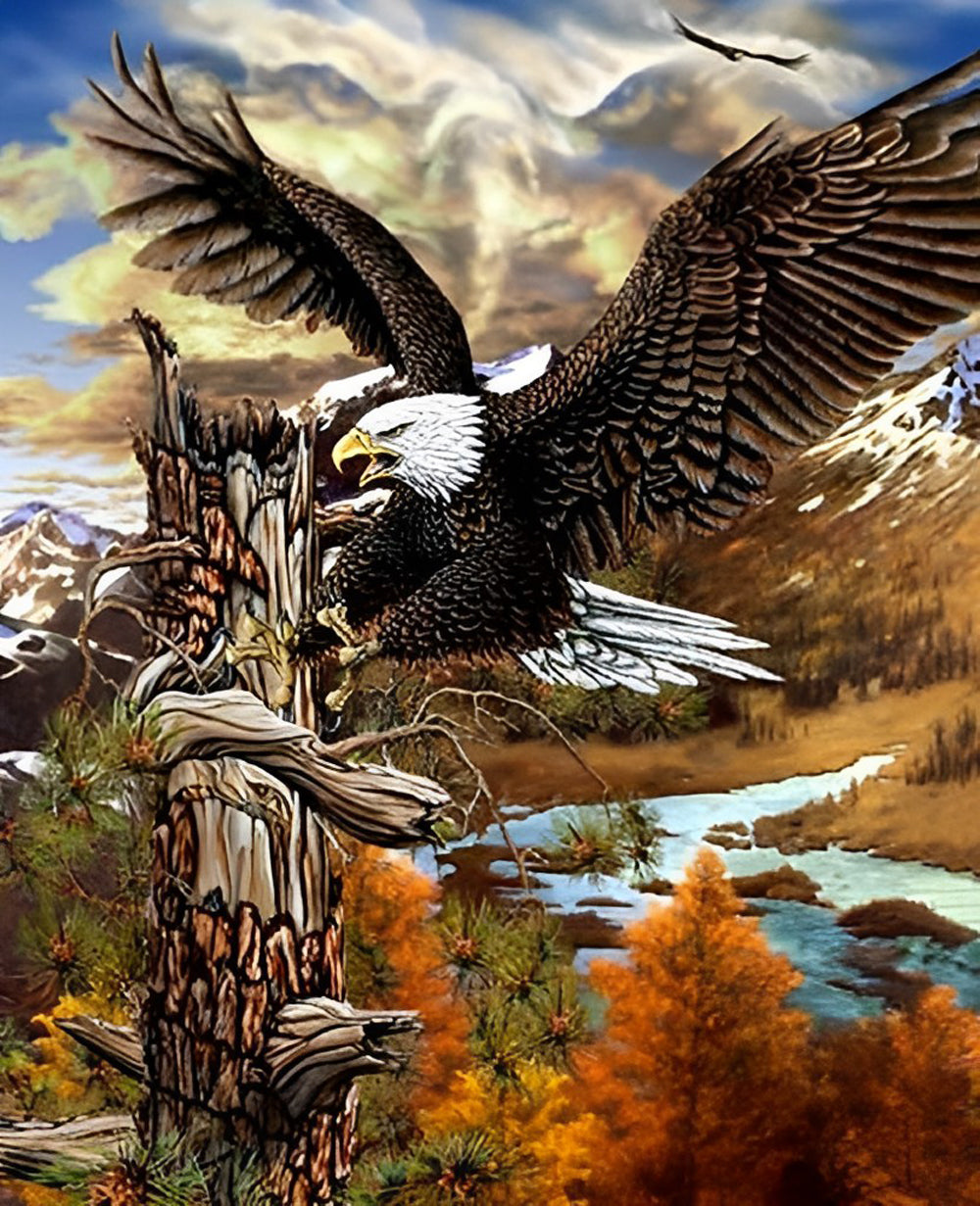 Bald Eagle Soaring in the Air Diamond Painting