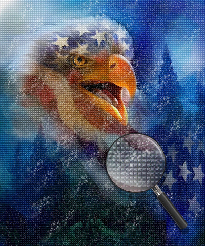 President American Eagle Diamond Painting