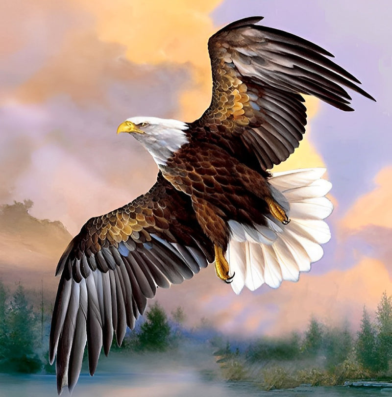 Flying Bald Eagle Diamond Painting