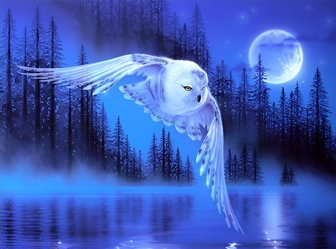 Flying Owl and Clear Moon Diamond Painting