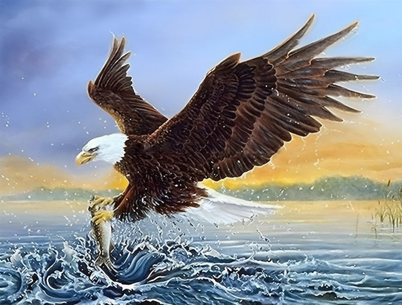 Fisherman Eagle Diamond Painting