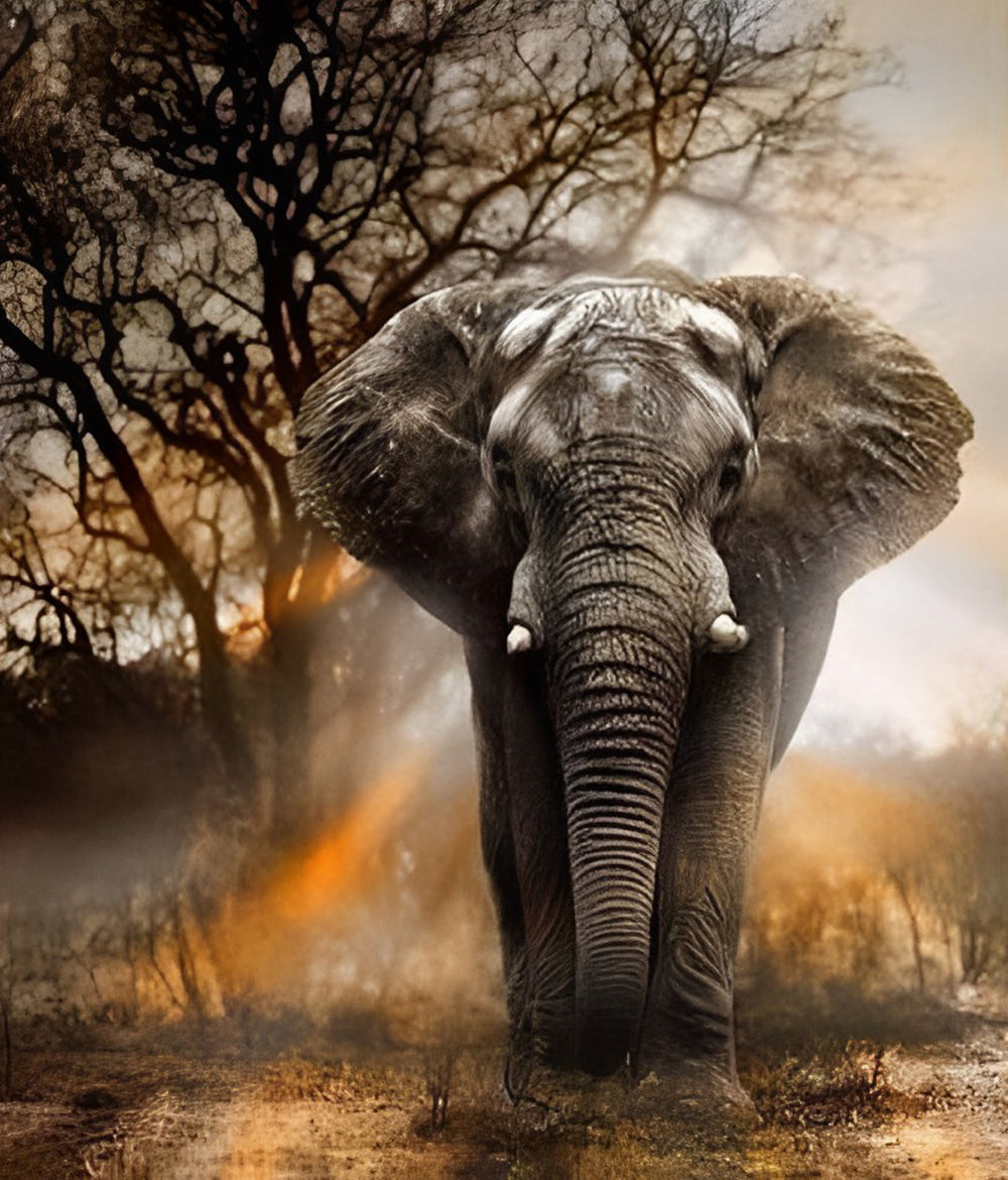 Elephant in the Savannah Diamond Painting