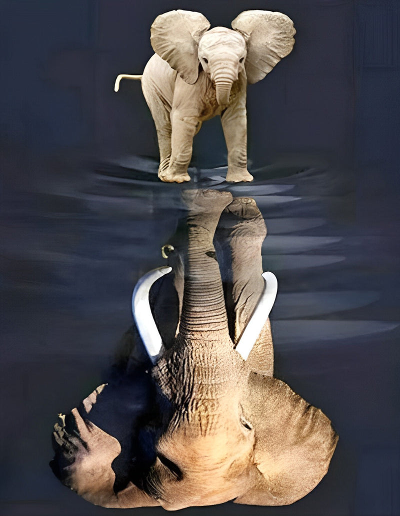 Little Elephant and Elephant in the Reflection 5D DIY Diamond Painting Kits