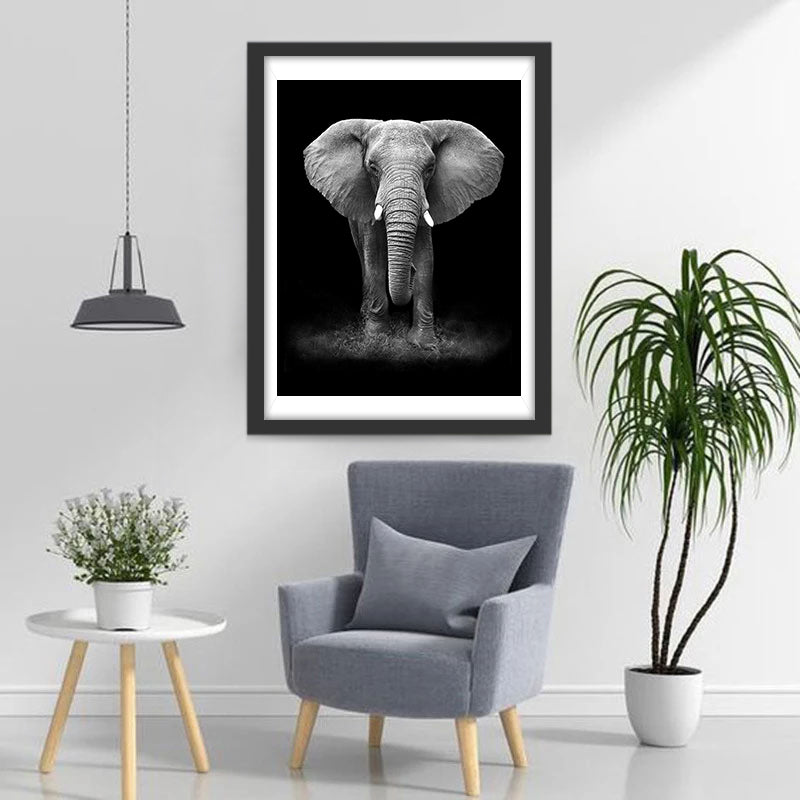 Great Black and White Elephant Diamond Painting