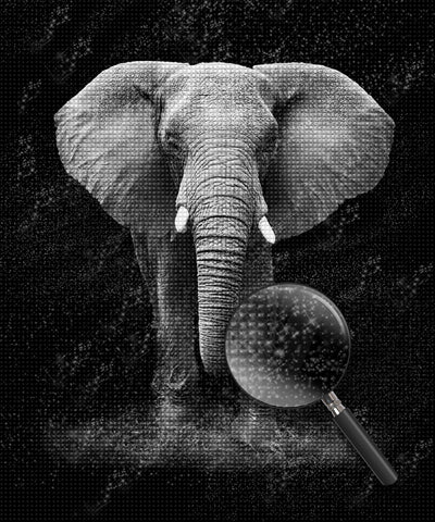 Great Black and White Elephant 5D DIY Diamond Painting Kits