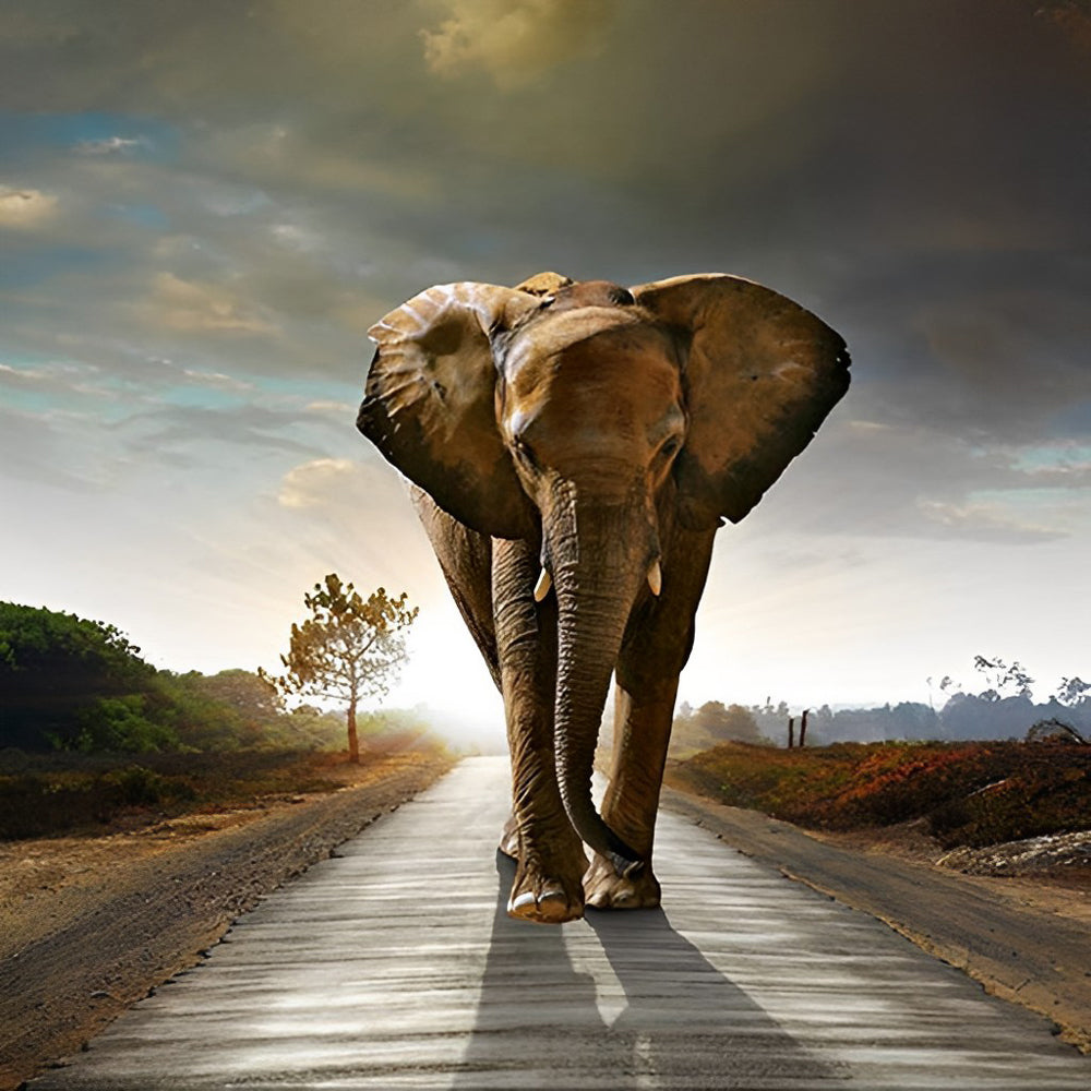 Elephant in the Light Diamond Painting