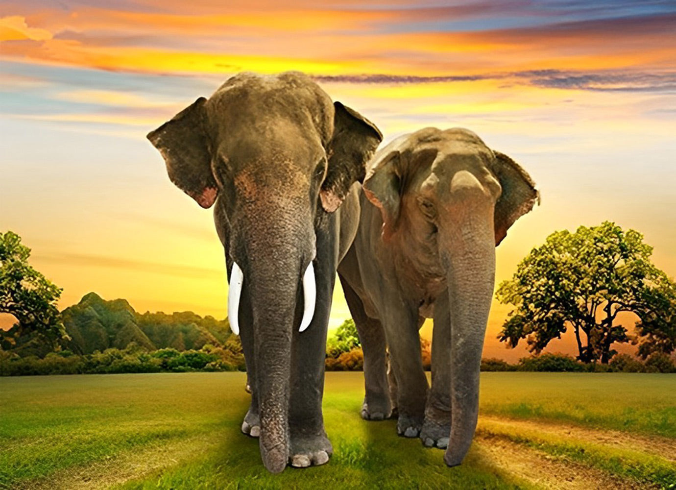 Elephant Couple Diamond Painting