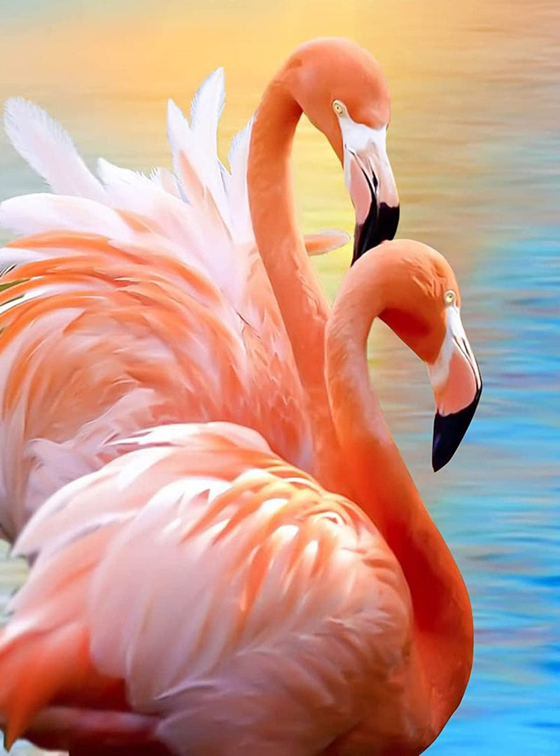 Couple of Flamingos 5D DIY Diamond Painting Kits