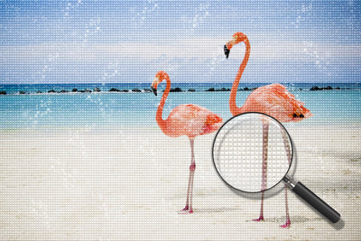 Flamingo and His Baby Diamond Painting