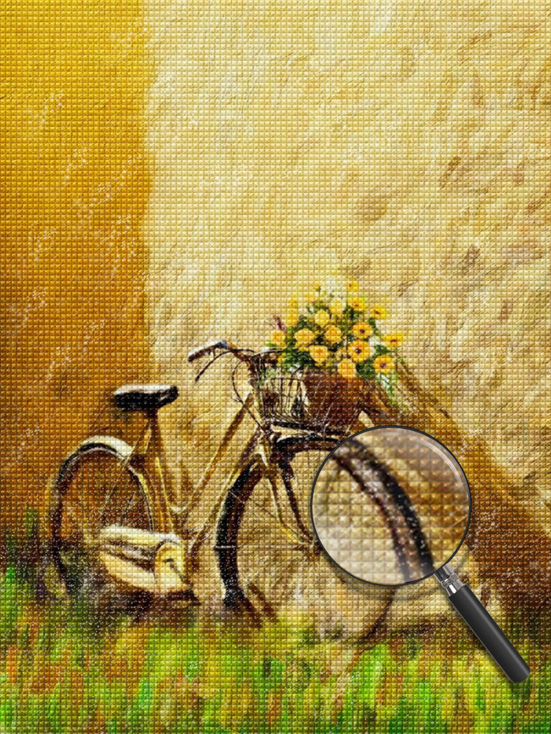 Flowers and Bike Diamond Painting