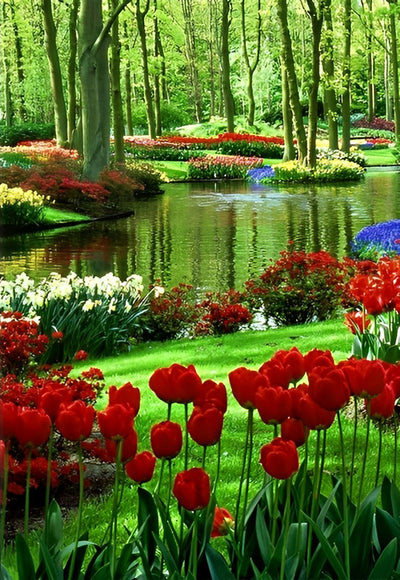 Red and White Tulips by the Stream 5D DIY Diamond Painting Kits
