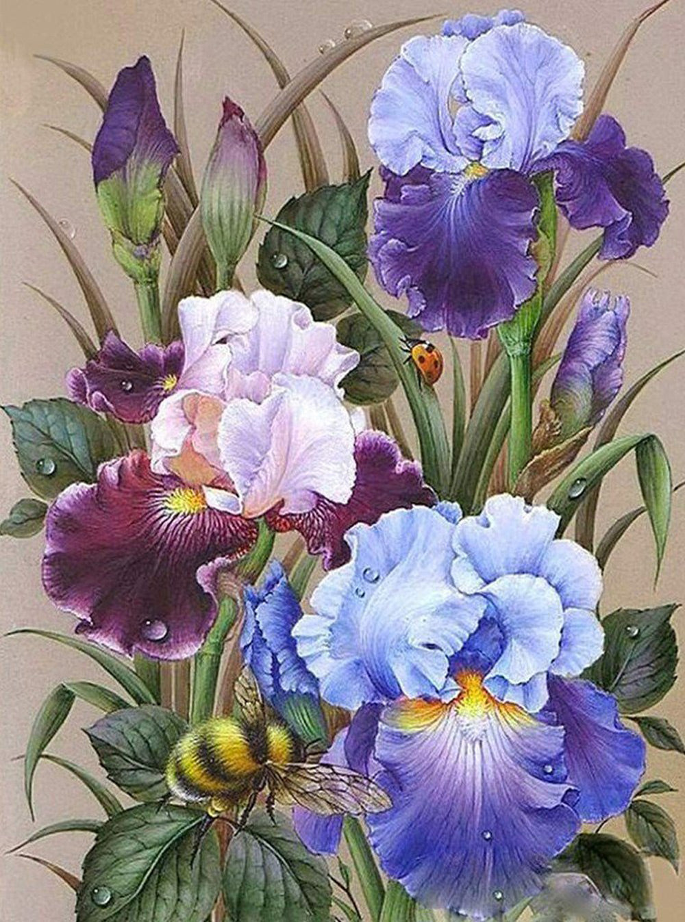 Blue and Pink Irises Diamond Painting