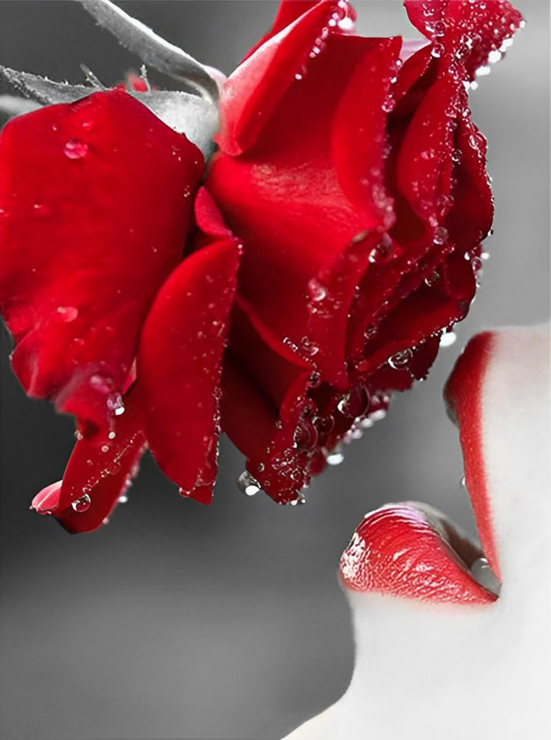 Red Rose and Lip 5D DIY Diamond Painting Kits