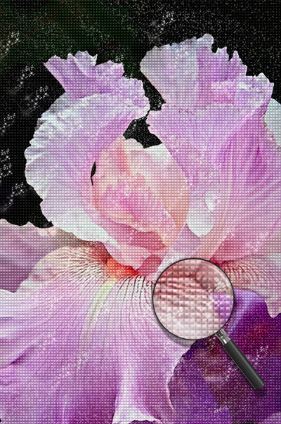 Beautiful Pink Iris Magnificent 5D DIY Diamond Painting Kits